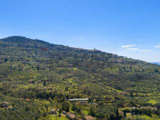 Vista