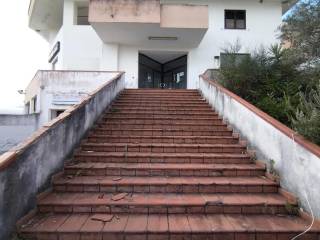 Scala