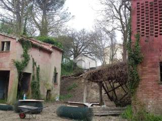 Zona