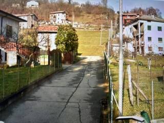 Zona