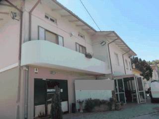Zona
