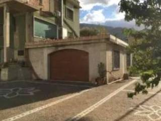 Zona