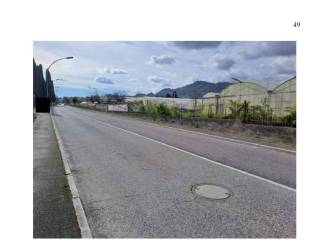 Zona