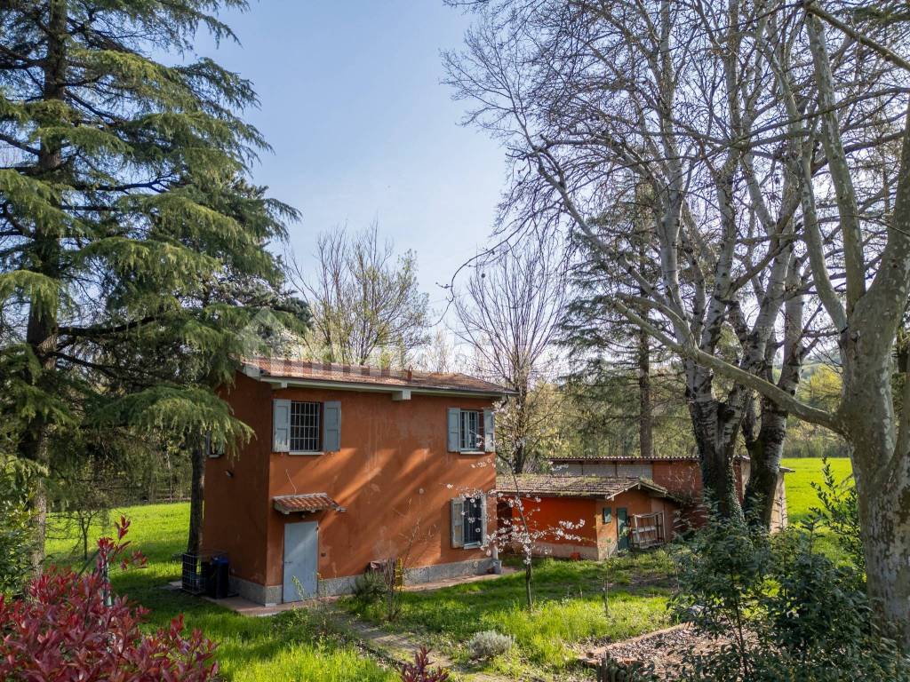 Terreno