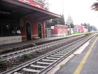 Zona
