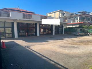 Zona