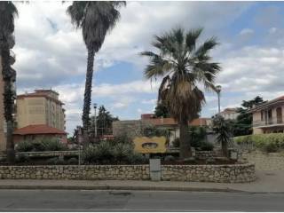 Zona