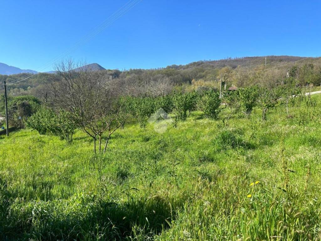 Terreno