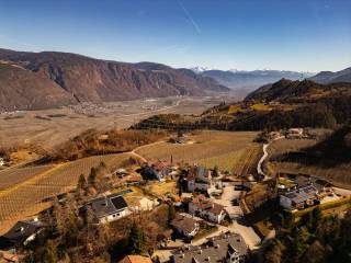 Vista