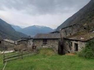 Zona