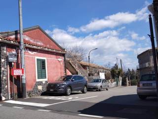 Zona