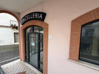 Ingresso