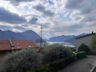 Vista