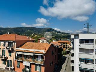 Vista