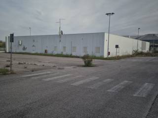 Zona