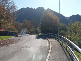 Zona