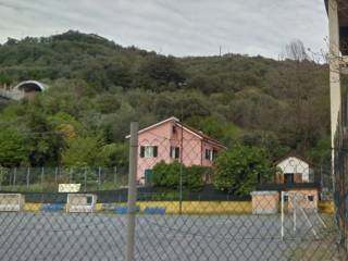 Zona