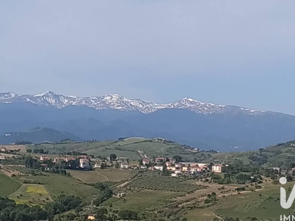 Vista
