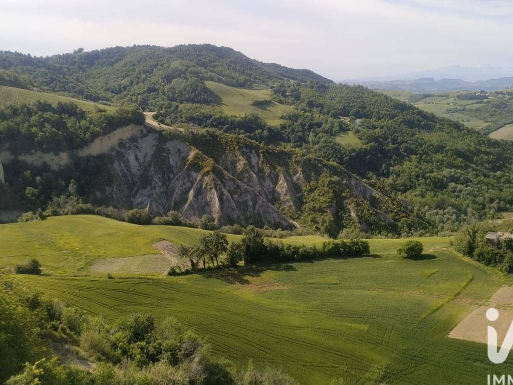 Vista