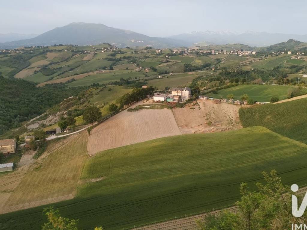 Vista