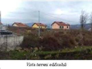 Zona