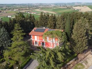 Vista