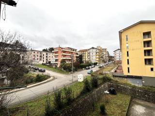 Vista