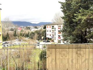 Vista