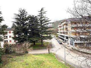 Vista