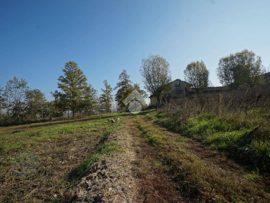 Terreno