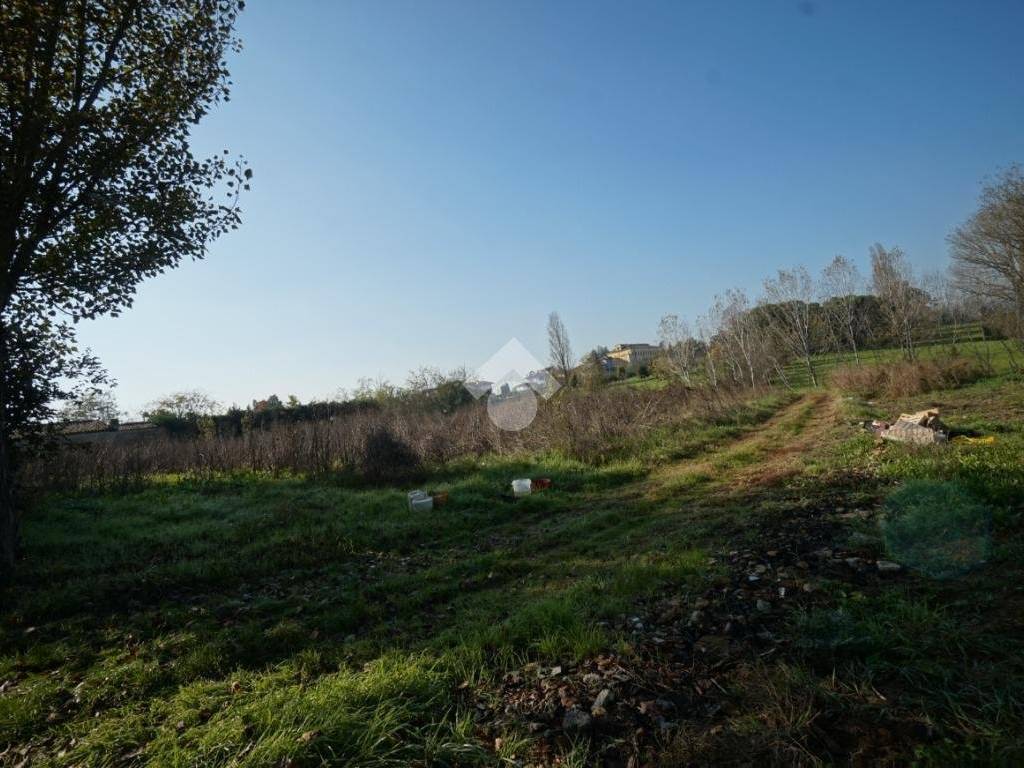 Terreno