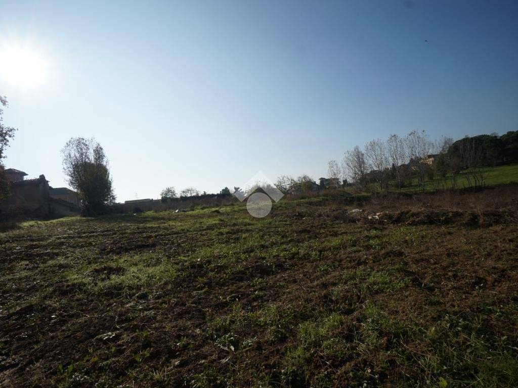 Terreno