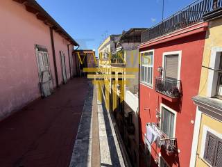 Zona