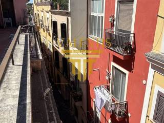 Zona