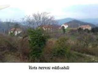 Zona
