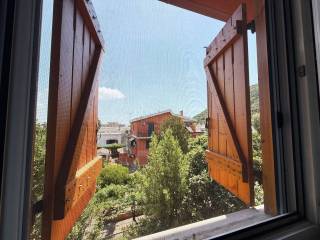 Vista