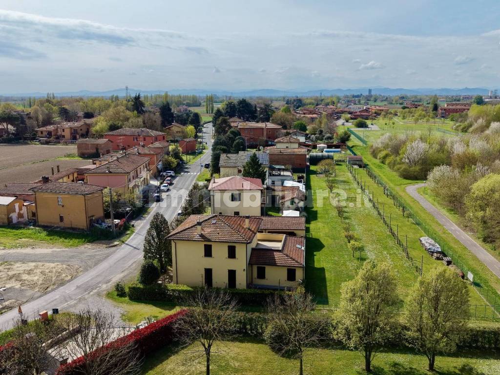 Vista
