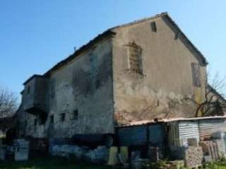 Zona