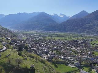 Vista
