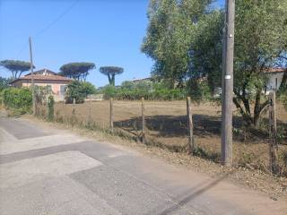 Zona