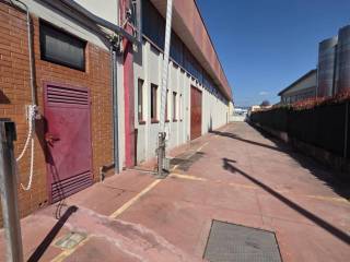 Zona