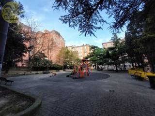 Zona
