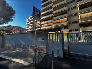 Zona