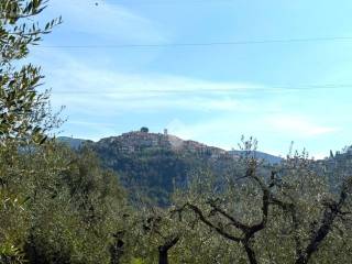 Vista