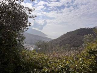 Vista