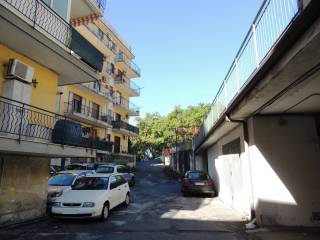 Zona