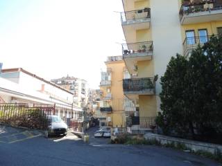 Zona
