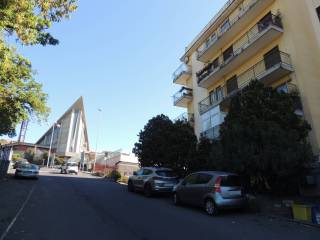 Zona