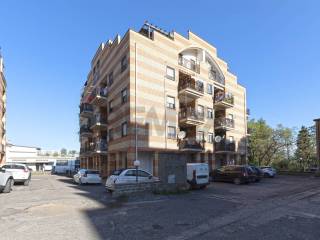 Zona