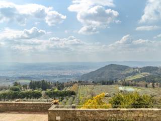 Vista